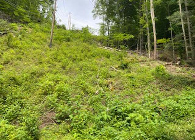 Property at 00 Mt Martha Trail Map#p04-00-24-035.01, Pikeville, KY 41332