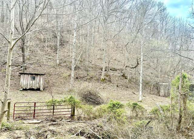 Property at 30 Right Fork Ousley Br, Prestonsburg, KY 41653