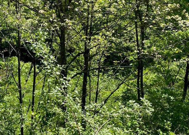 Property at 0 Buck Creek (db 230, DP 353), Royalton, KY 41464