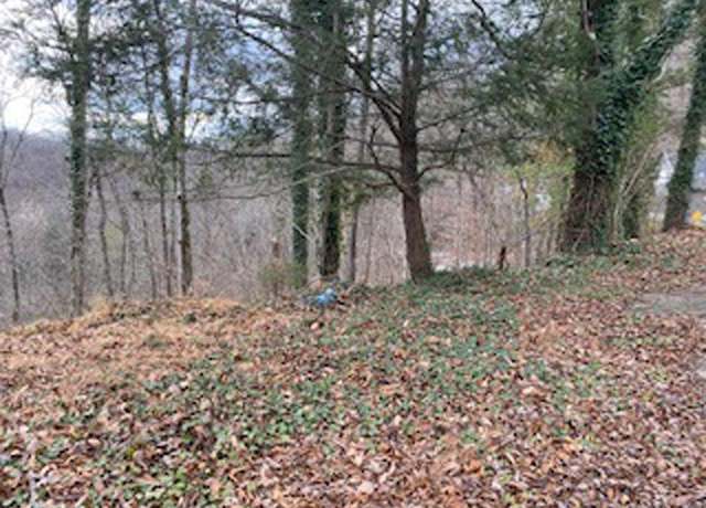 Property at 112 Evan Street Map# P04-00-24-035.01, Pikeville, KY 41501