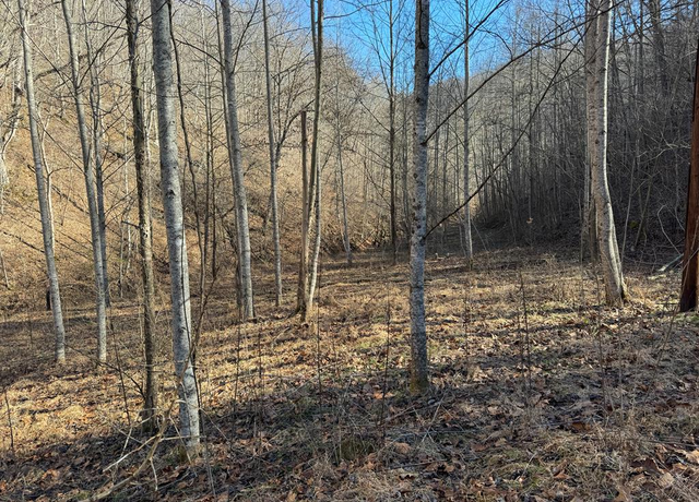 Property at 1438 Mill Creek Rd, Wayland, KY 41666