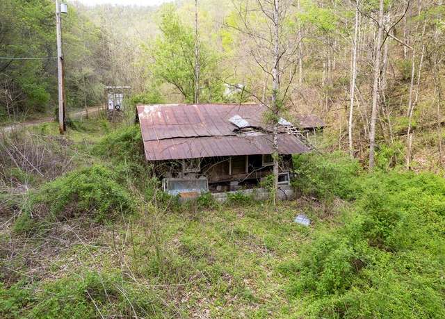 Property at 0 Little Robinson Map # 020-00-00-022.11, Virgie, KY 41572