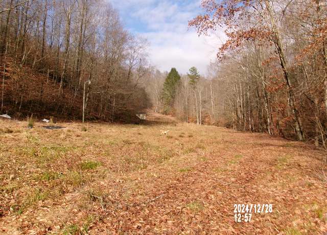 Property at 377 D Conley Rd, Flat Gap, KY 41219