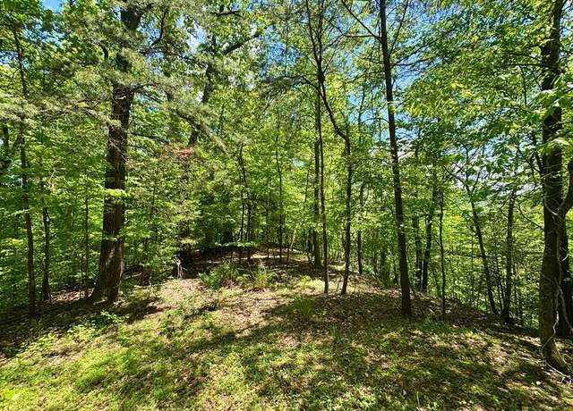 Property at 000 Laurel Rdg, Pikeville, KY 41501