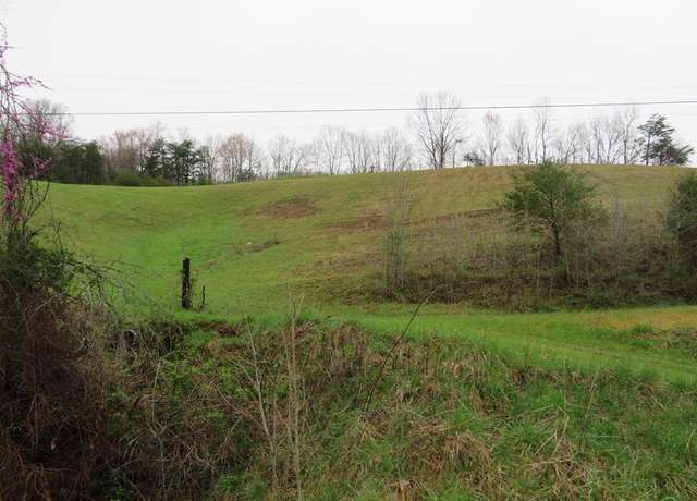Property at 0 KY Route 580, Staffordsville, KY 41256