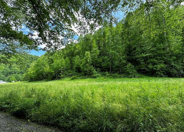 Property at 000 Polly Marcum Branch Rd, Manchester, KY 40962