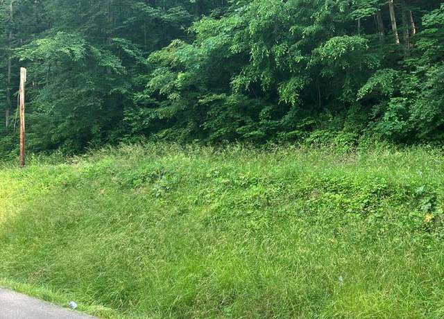 Property at 0 Home Br, Prestonsburg, KY 41653