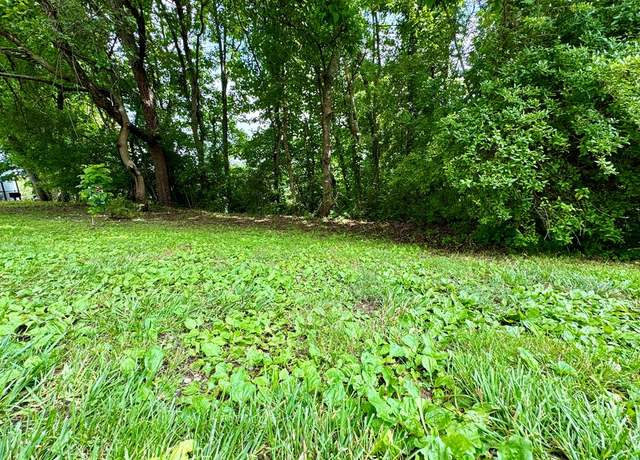 Property at 0 Watermelon Hill Rd, Louisa, KY 41230