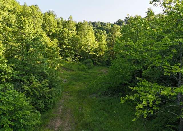 Property at 0 Calico Fork Rd, Louisa, KY 41230