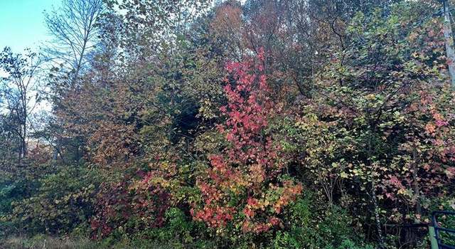 Photo of 0 Mayo Holw, Martin, KY 41649
