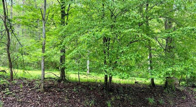 Photo of 7155 Robinson Creek Rd, Robinson Creek, KY 41560
