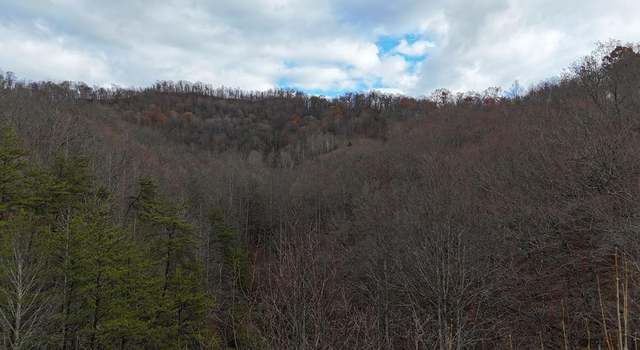 Photo of 00 Walnut Hollow of Mallet Frk, Pine Top, KY 41843