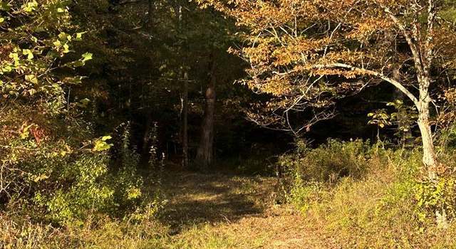 Photo of 0 Stapleton Br, Flat Gap, KY 41219