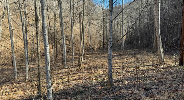 Photo of 1438 Mill Creek Rd, Wayland, KY 41666