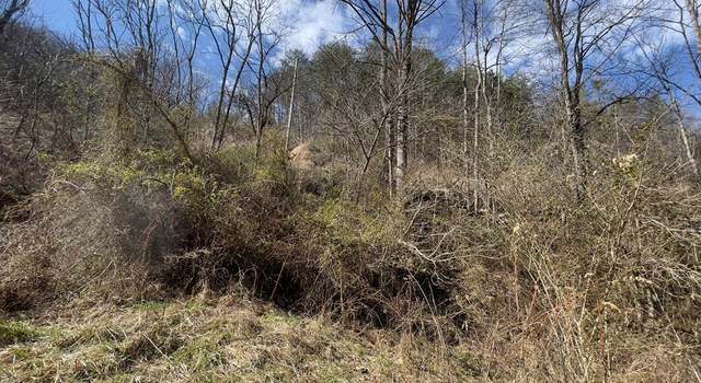 Photo of 00 Left Fork of Toler, Harold, KY 41635