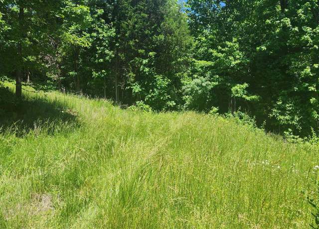 Property at Hwy 231, Utica, KY 42376