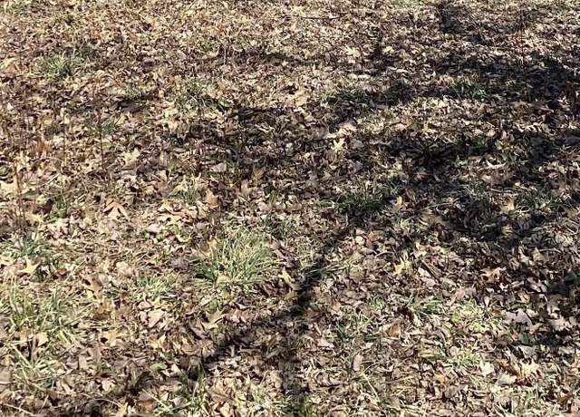 Property at 904 + 908 Elsmere St, Owensboro, KY 42303
