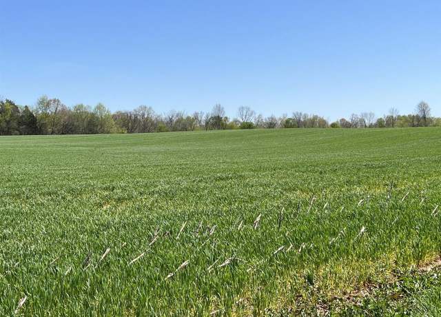 Property at 154 Acres Halfway Halifax Rd, Scottsville, KY 42164