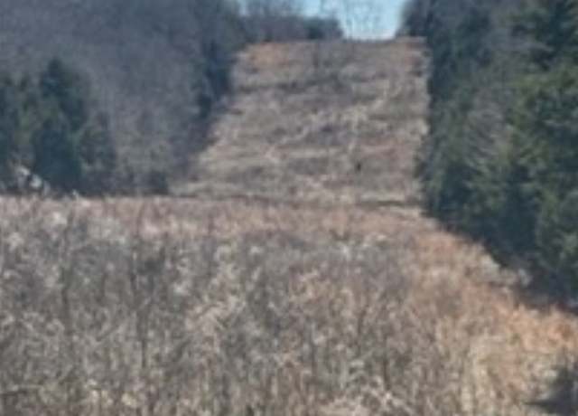 Property at 5535 Quality Rd, Lewisburg, KY 42256
