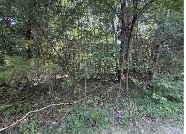 Property at 2235 Larry Hunt Rd, Raywick, KY 40060