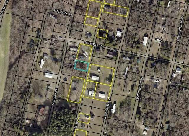 Property at 225 Redfin Rd, Scottsville, KY 42164
