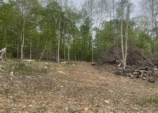 Property at 0 Sandy Creek Rd, Lewisburg, KY 42256