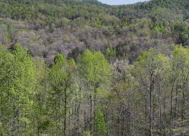 Property at 0 Holly Fork Rd, Booneville, KY 40983