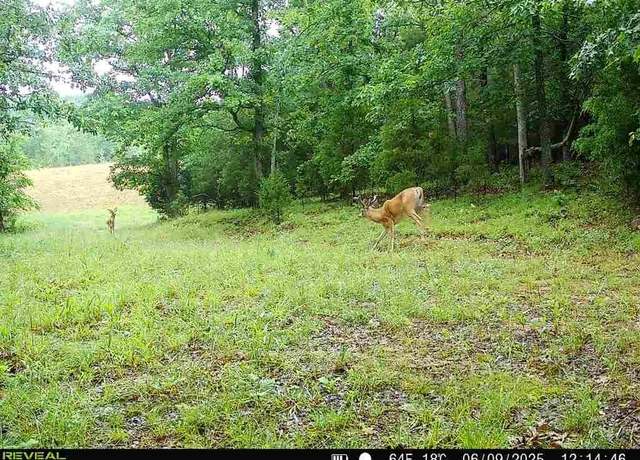Property at 1234 Cornette Rd, Greenville, KY 42345