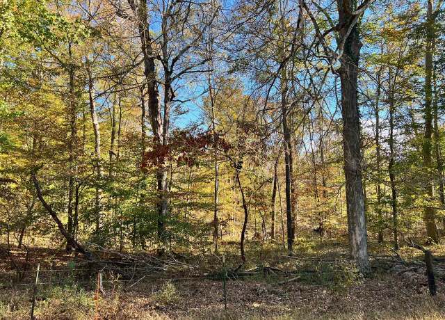 Property at Lot 16 Gainesville Port Oliver Rd, Scottsville, KY 42164