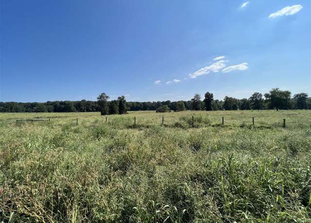 Property at 42.76 Acres Newman Rd, Scottsville, KY 42164