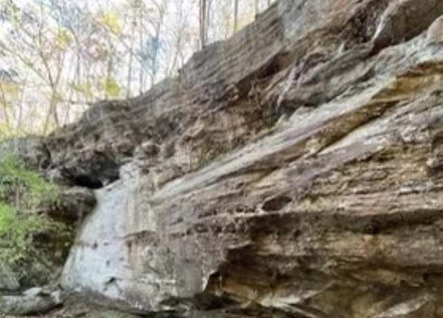 Property at Lot Crazy Horse Ln, Lewisburg, KY 42256