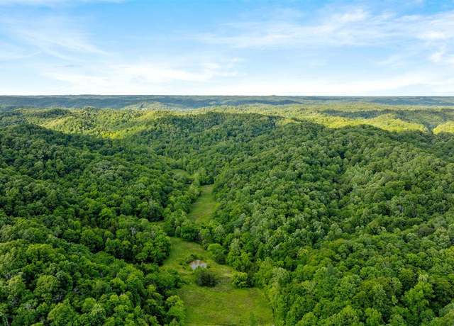 Property at 0 Black Branch Rd, Burkesville, KY 42717