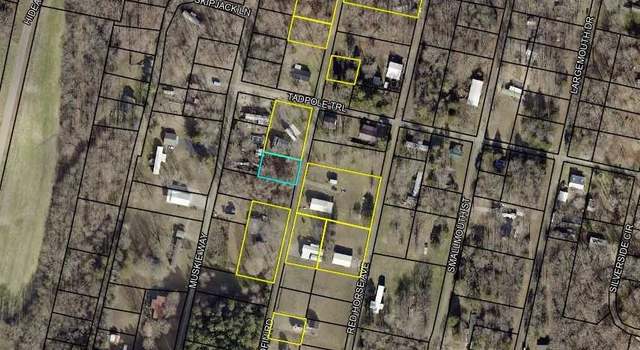 Photo of 225 Redfin Rd, Scottsville, KY 42164