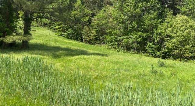 Photo of 0 Henry Oates Rd, Graham, KY 42344