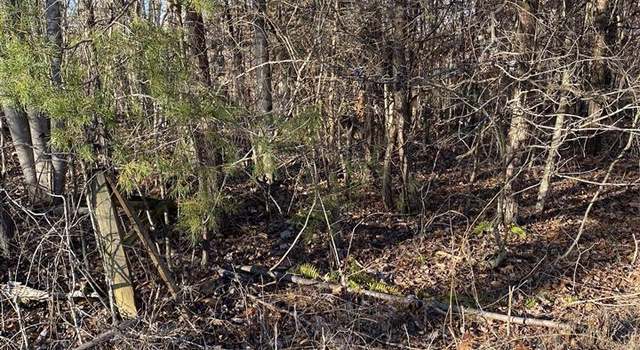 Photo of Math Minton Rd, Mammoth Cave, KY 42259