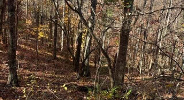Photo of 10 AC Hatcher Valley Rd, Horse Cave, KY 42749