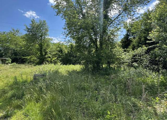 Property at 00 E St Rt 94, Sedalia, KY 42079