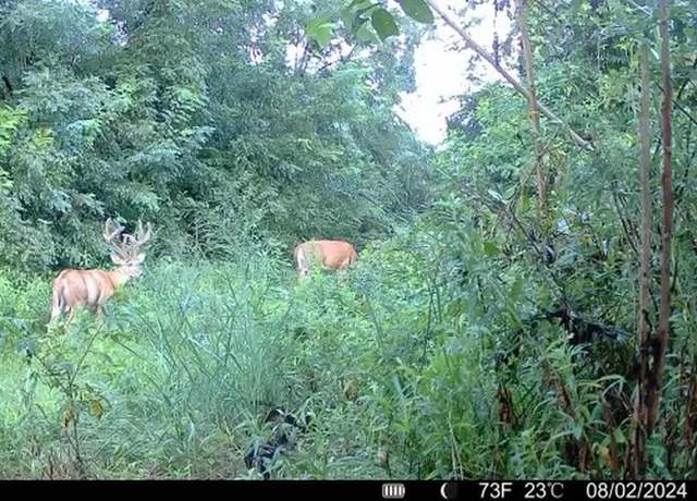 Property at Tract 4 Ky-175, Ky Other, KY 42325