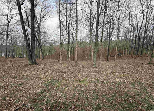 Property at Lot #15 Waterfowl Ln, Murray, KY 42071