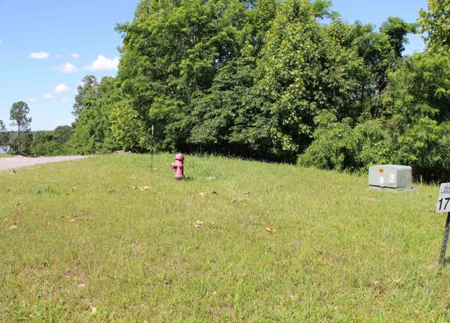 Property at Lots 17 Oak View Ln, Eddyville, KY 42038