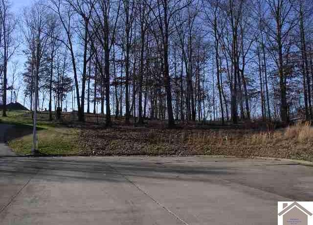 Property at Lot 25 & Half of 24 Eagle Dr, Benton, KY 42025