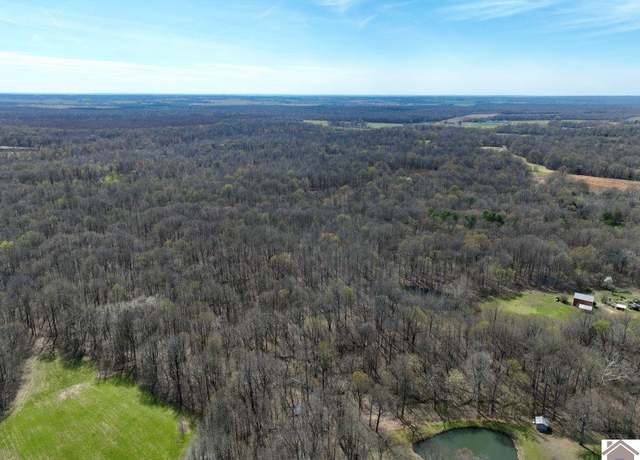 Property at 000 State Route 1748, Fancy Farm, KY 42039