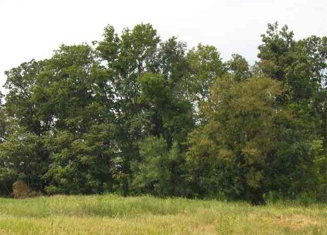 Property at Lots 19, 20 John Purdom Dr, Almo, KY 42020