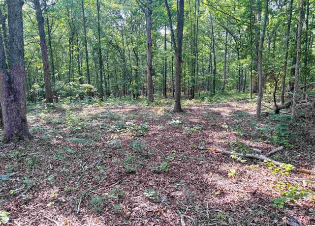 Property at 00 Beat Farmer Road, Lot 2, New Concord, KY 42076