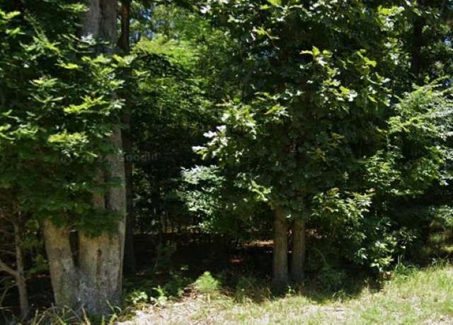 Property at lots 96 97 Deercrest Ln, Murray, KY 42071