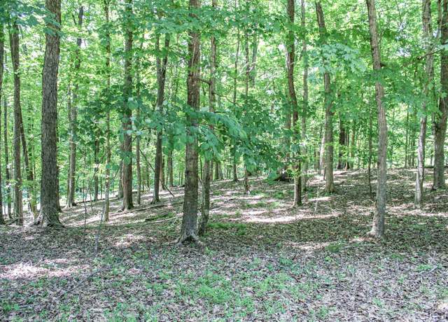 Property at 0 Indian Hills Trl, Eddyville, KY 42038