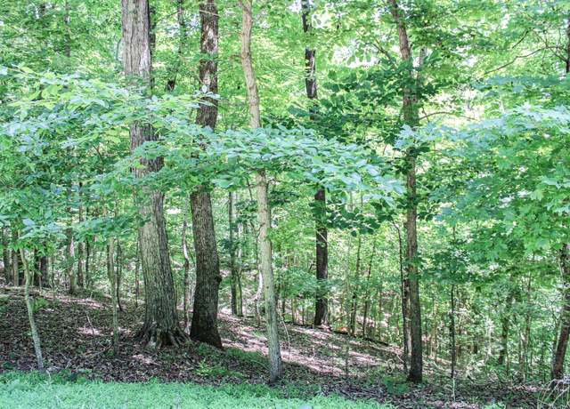 Property at 0 Algonquin Rd, Eddyville, KY 42038