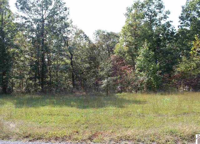 Property at Lot 175 Shine Ln, Murray, KY 42071