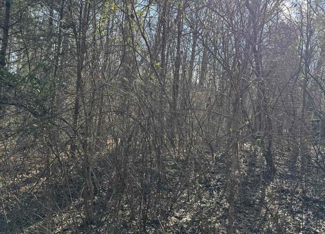 Property at 00 Mazurek Cir, Murray, KY 42071