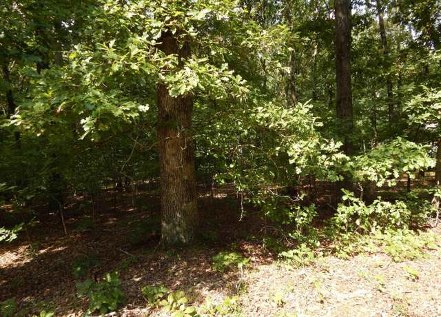 Property at Lot 58 Imogene Dr, Gilbertsville, KY 42044